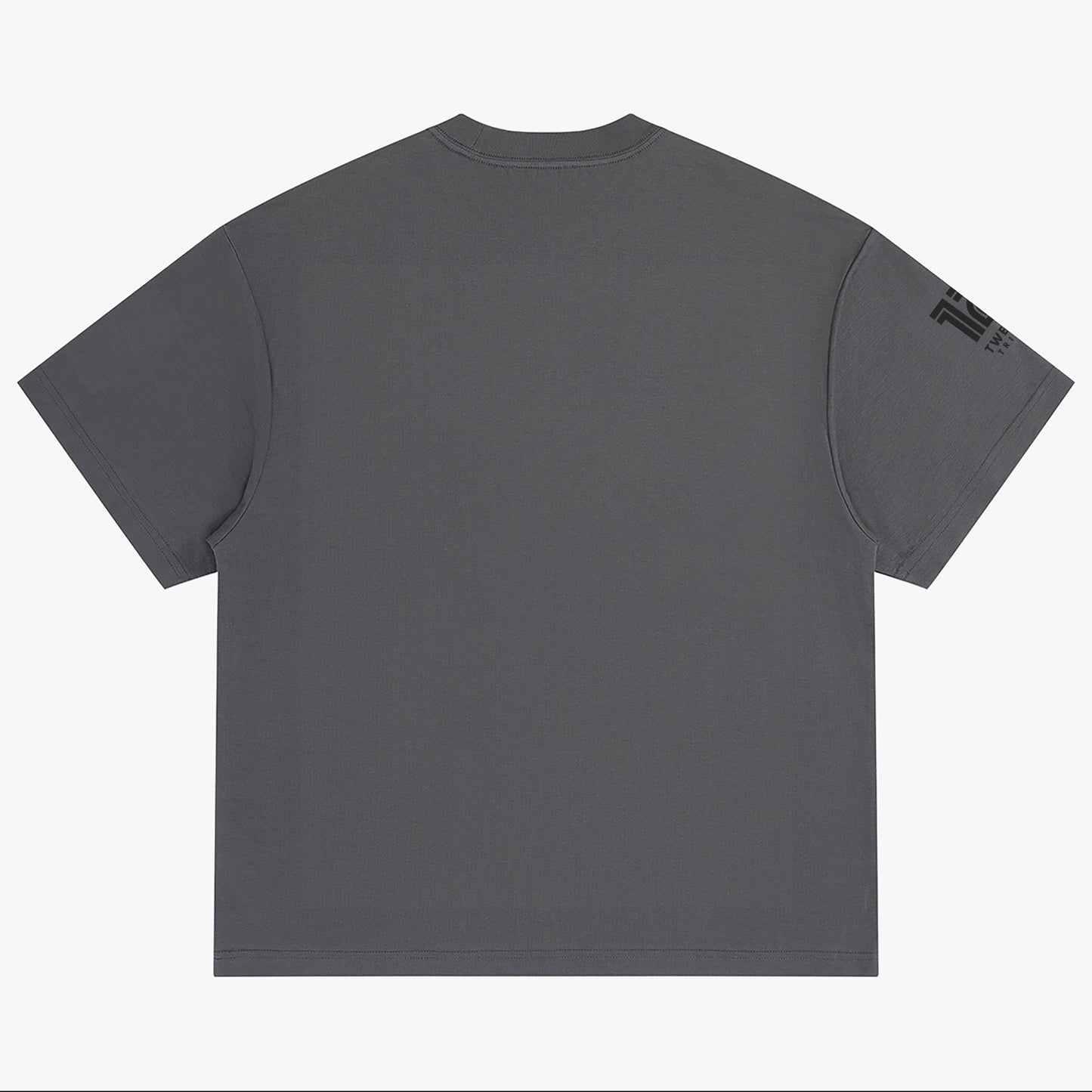 LION OF JUDAH "11" Crew-Neck Oversize T-shirt Grey Back
