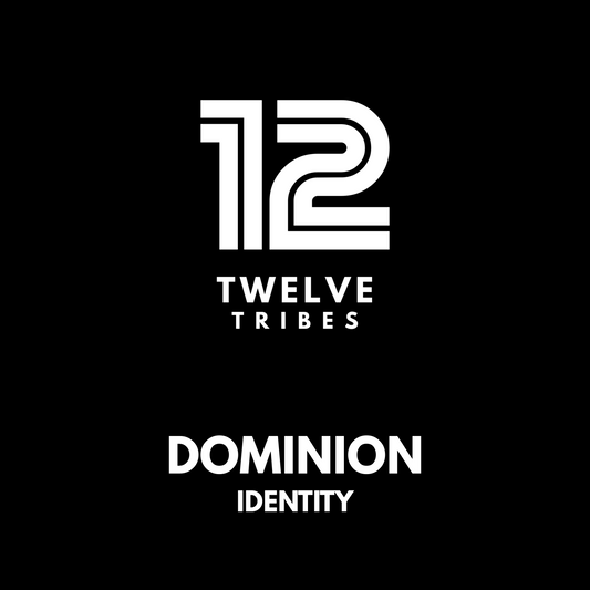 Logo of Twelve Tribes Dominion Identity on a black background
