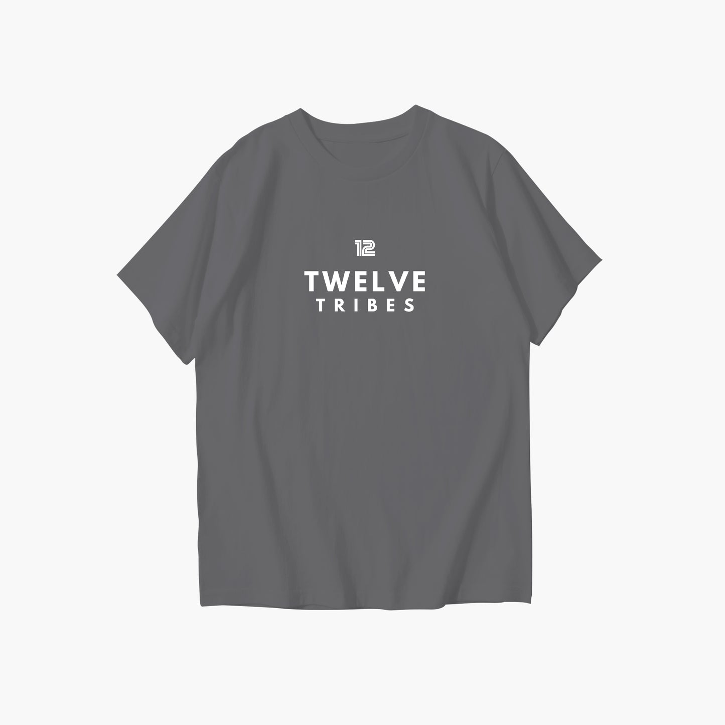 Gray t-shirt with '12 Twelve Tribes' text on a white background